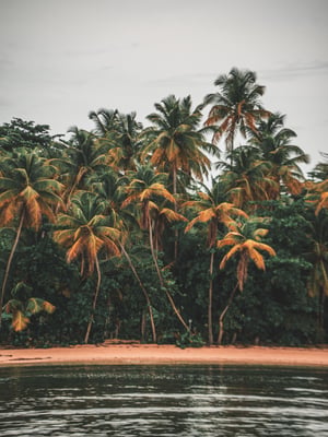 Tobago